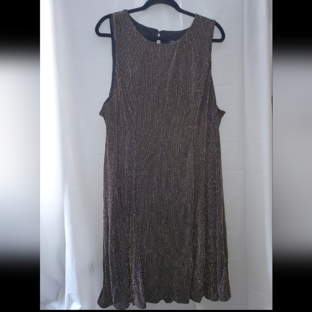 Torrid‎ Black With Silver And Gold Stripes Shimmer Sleeveless A-Line Dress 4